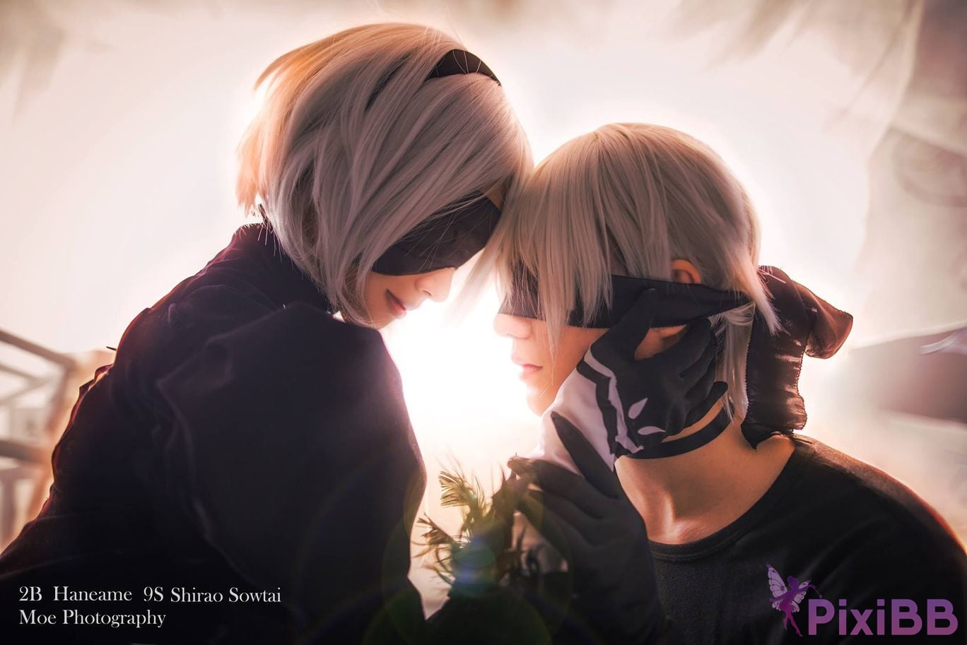 HA2B PixiBB.COM 100