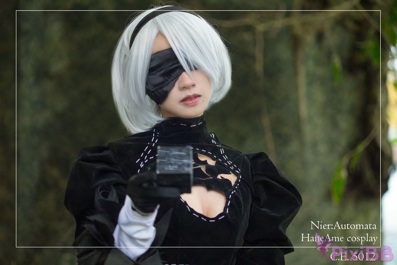 HA2B PixiBB.COM 123