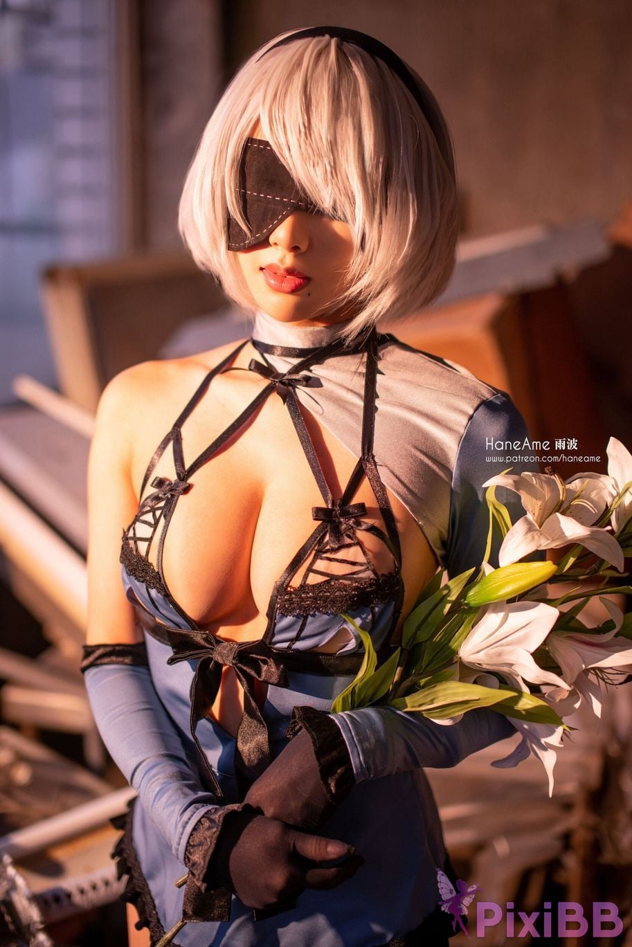 HA2B PixiBB.COM 182