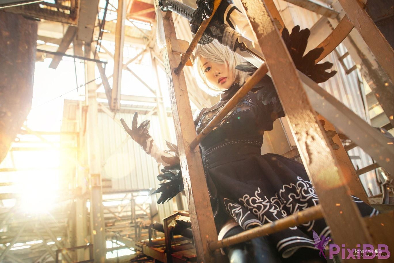 HA2B PixiBB.COM 204