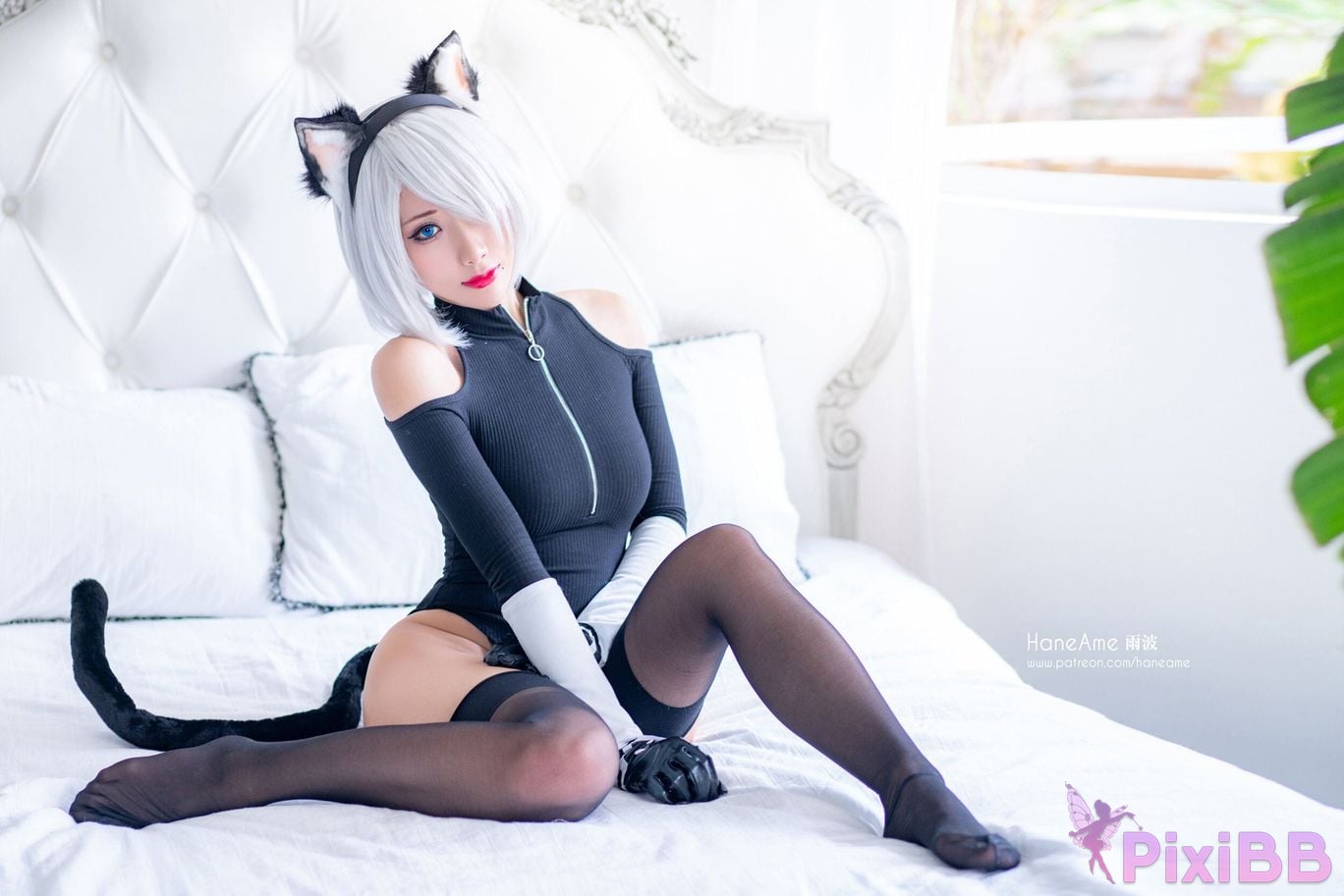 HA2B PixiBB.COM 77