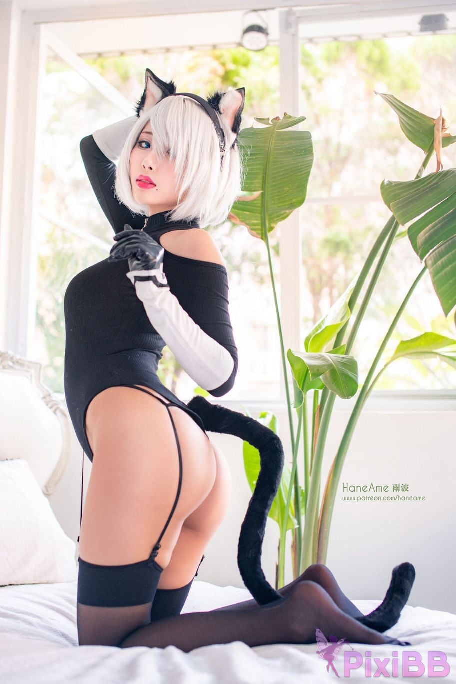 HA2B PixiBB.COM 90