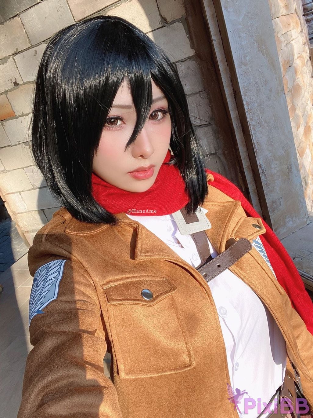 HAMikasaAckerman PixiBB.COM 20