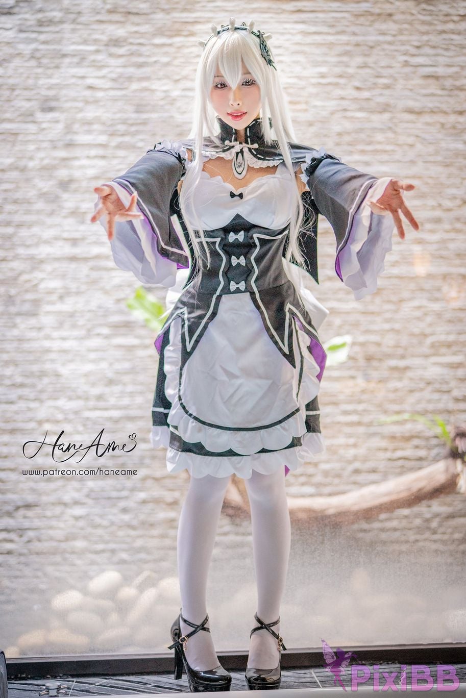 HAEchidna PixiBB.COM 20