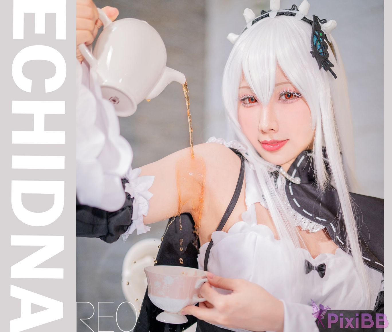 HAEchidna PixiBB.COM