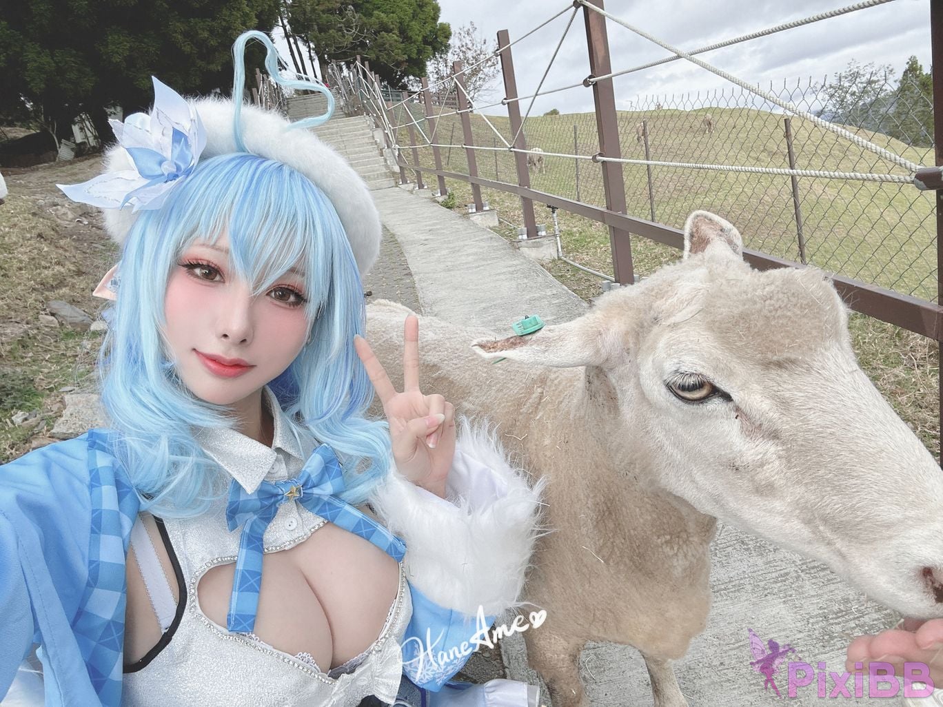 HAYukihanaLamy PixiBB.COM 30