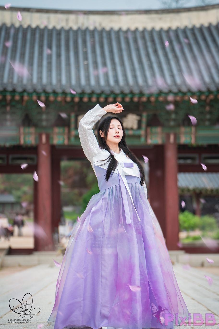 HaneAme Korea Hanbok Dress PixiBB.COM 15