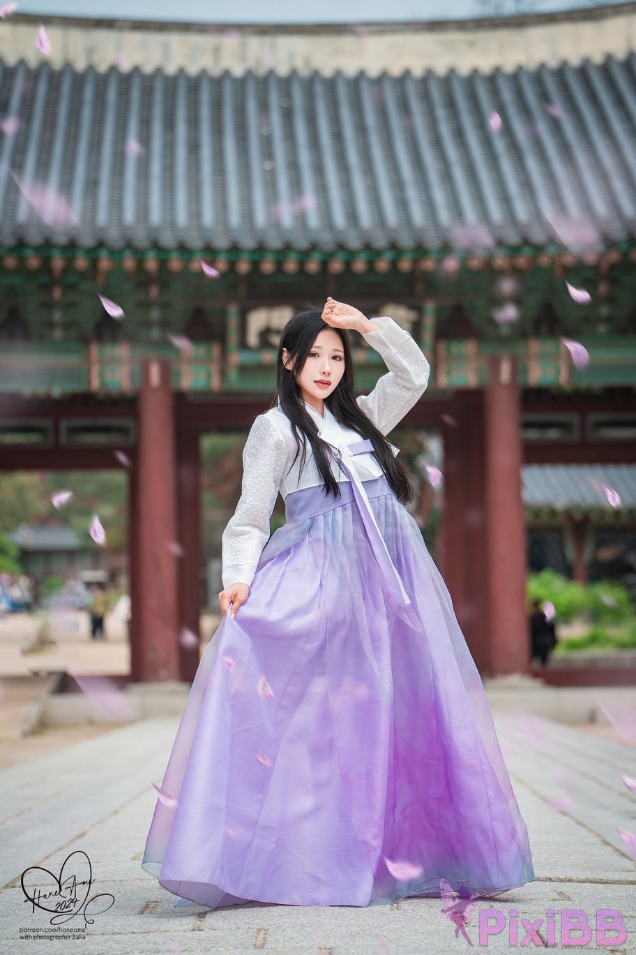 HaneAme Korea Hanbok Dress PixiBB.COM 16