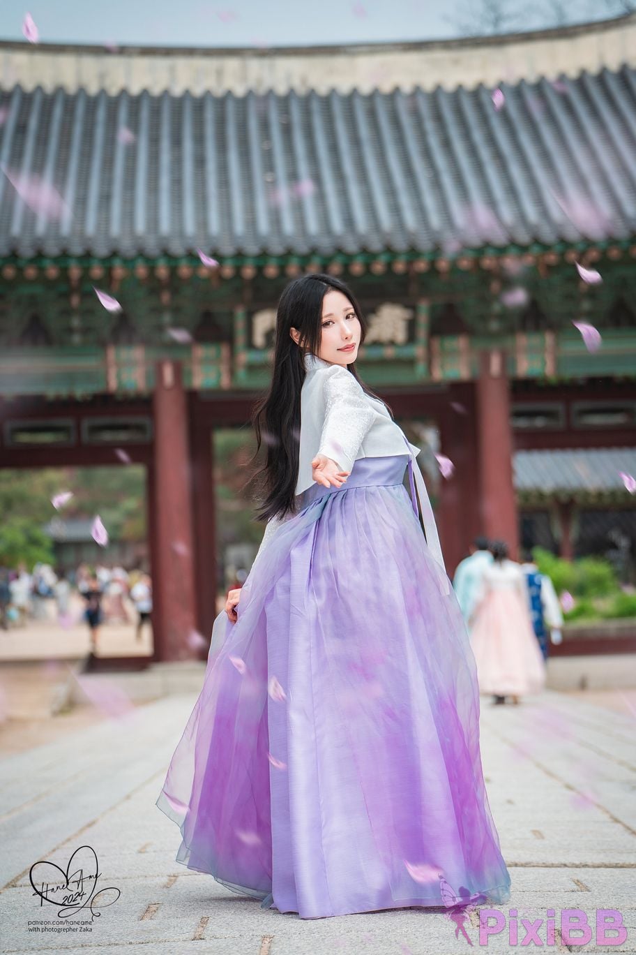 HaneAme Korea Hanbok Dress PixiBB.COM 17