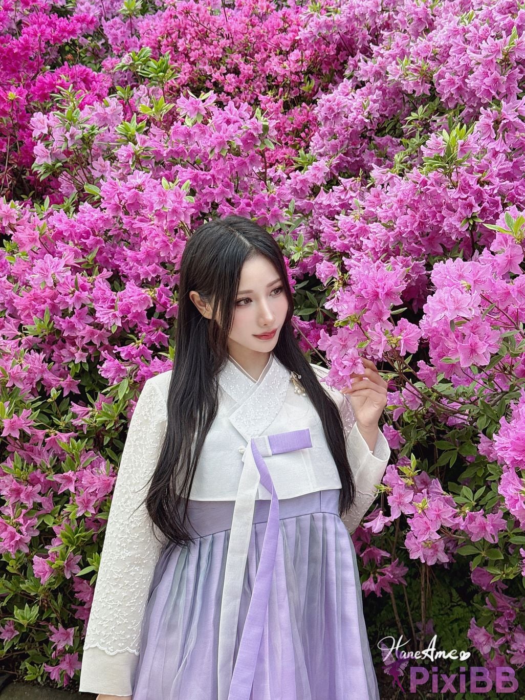 HaneAme Korea Hanbok Dress PixiBB.COM 26.JPG