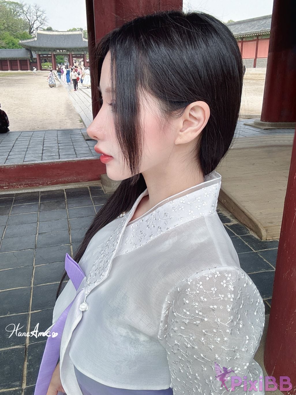 HaneAme Korea Hanbok Dress PixiBB.COM 30.JPG