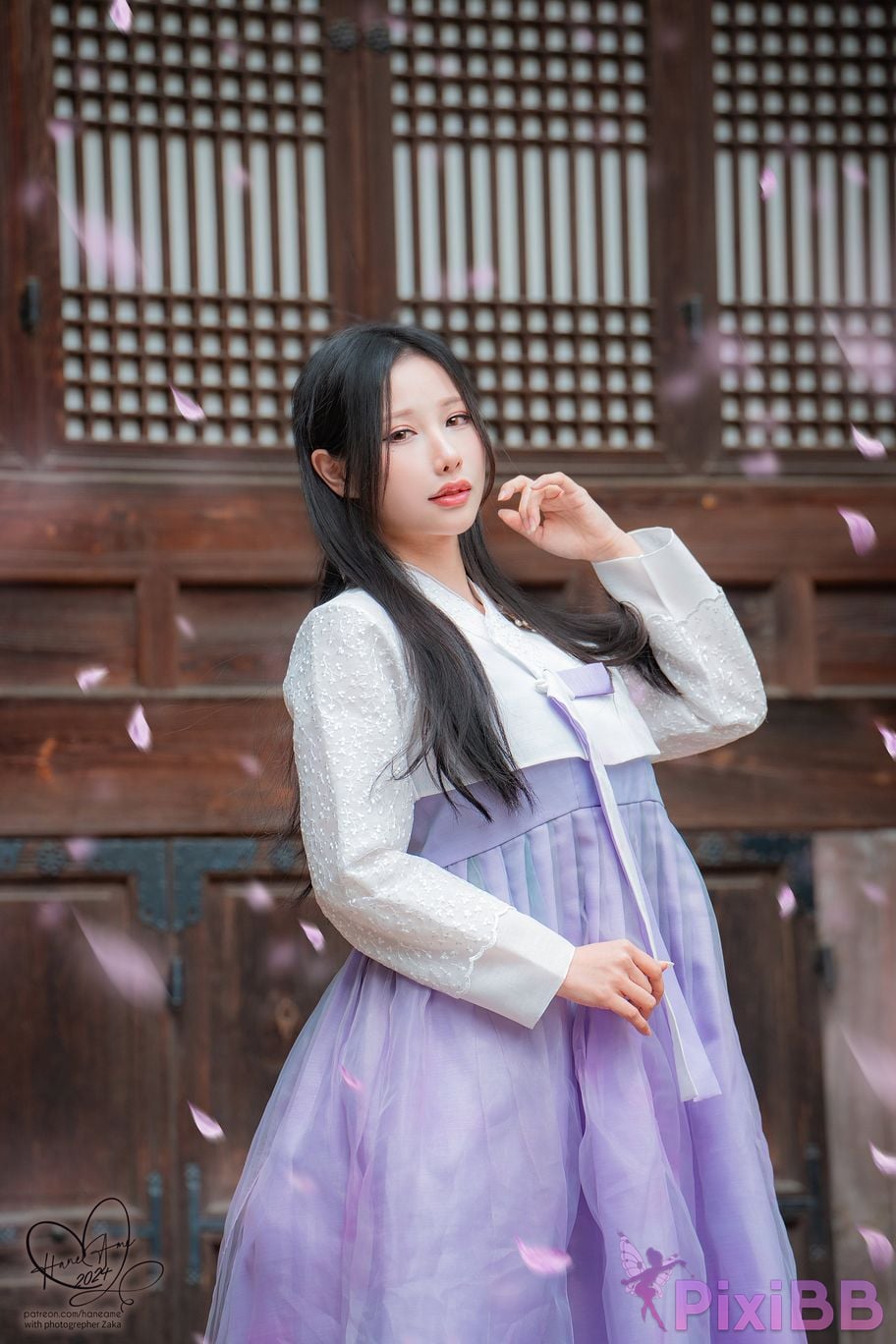 HaneAme Korea Hanbok Dress PixiBB.COM 42