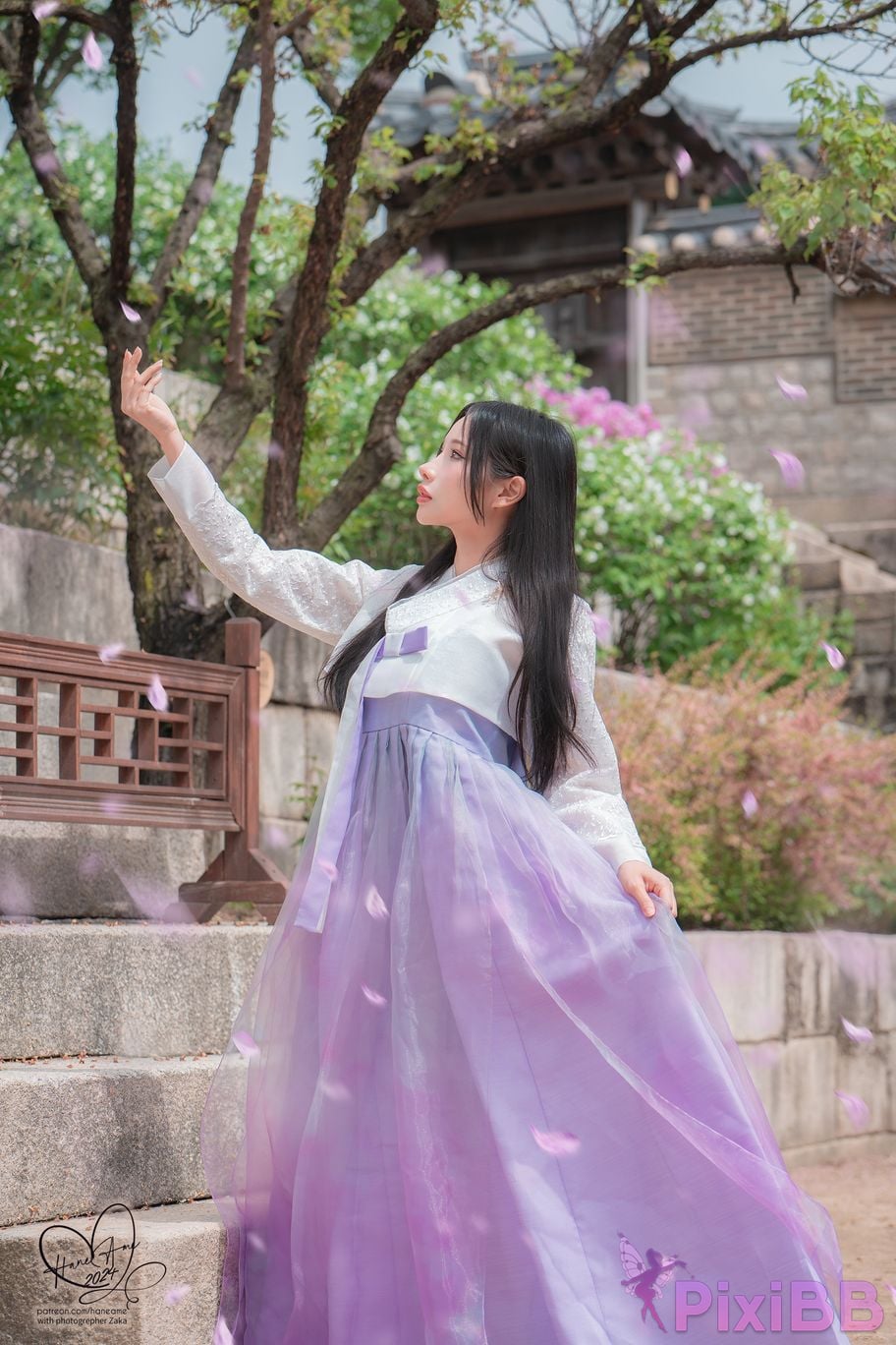 HaneAme Korea Hanbok Dress PixiBB.COM 46