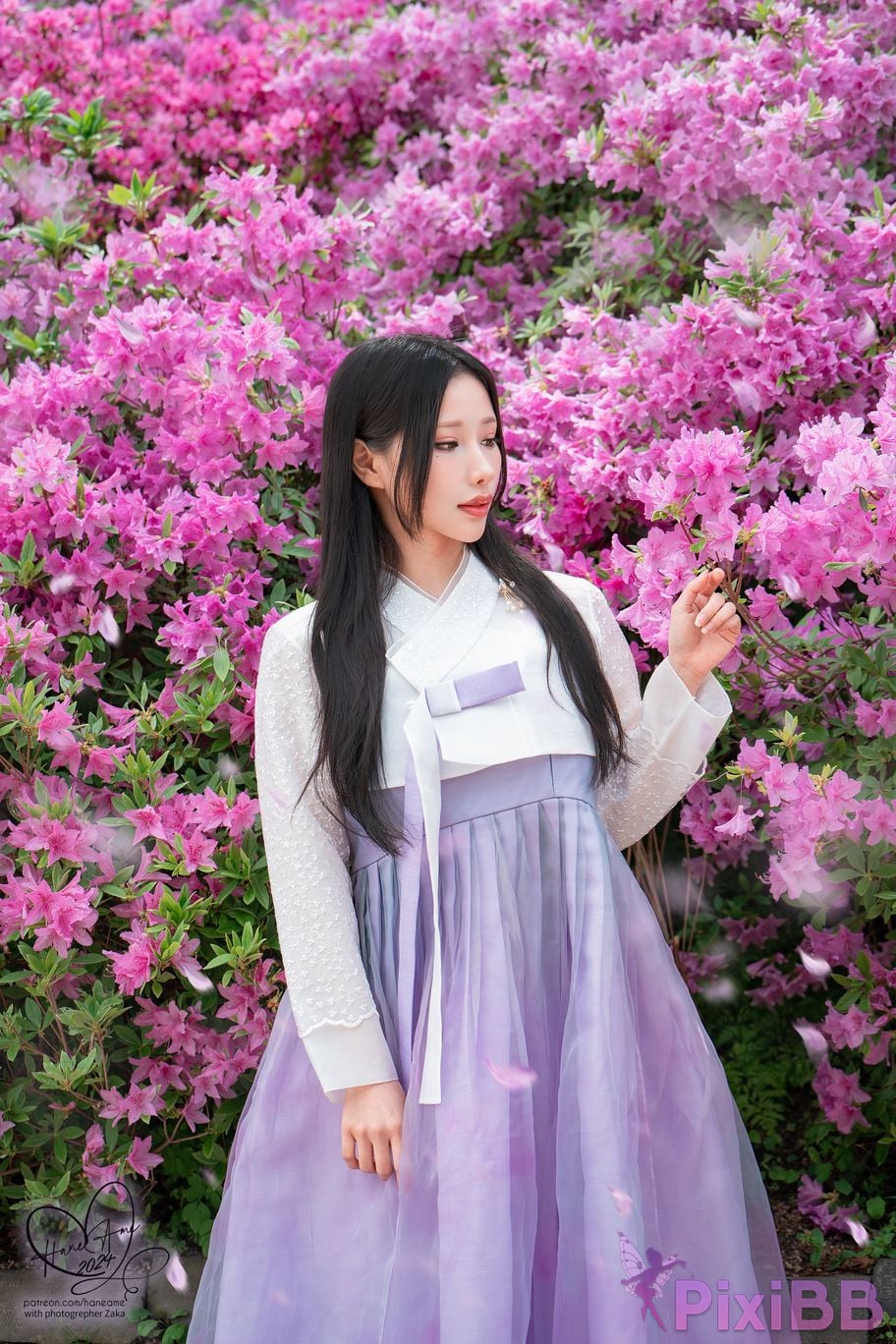 HaneAme Korea Hanbok Dress PixiBB.COM 5