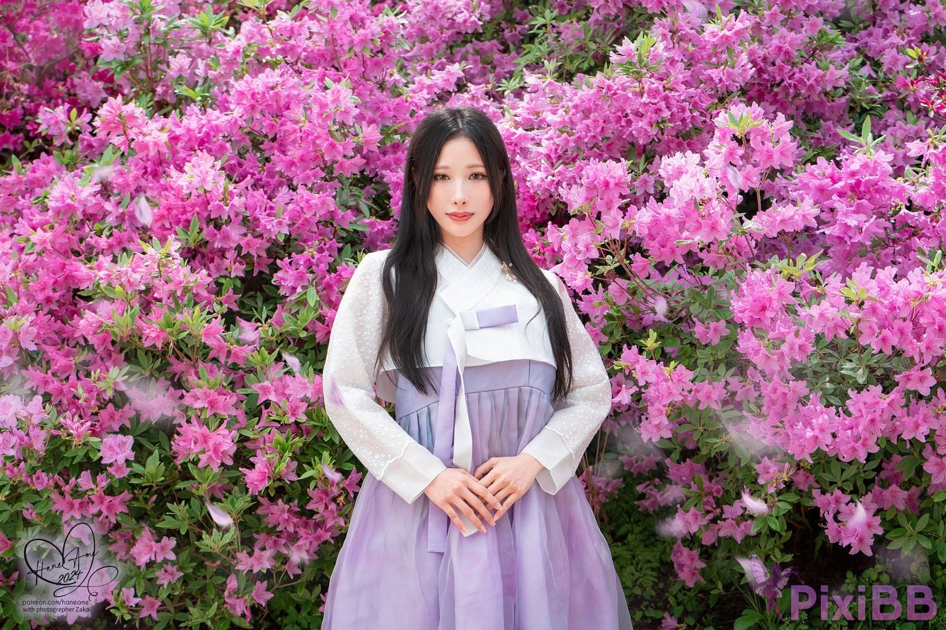 HaneAme Korea Hanbok Dress PixiBB.COM 6