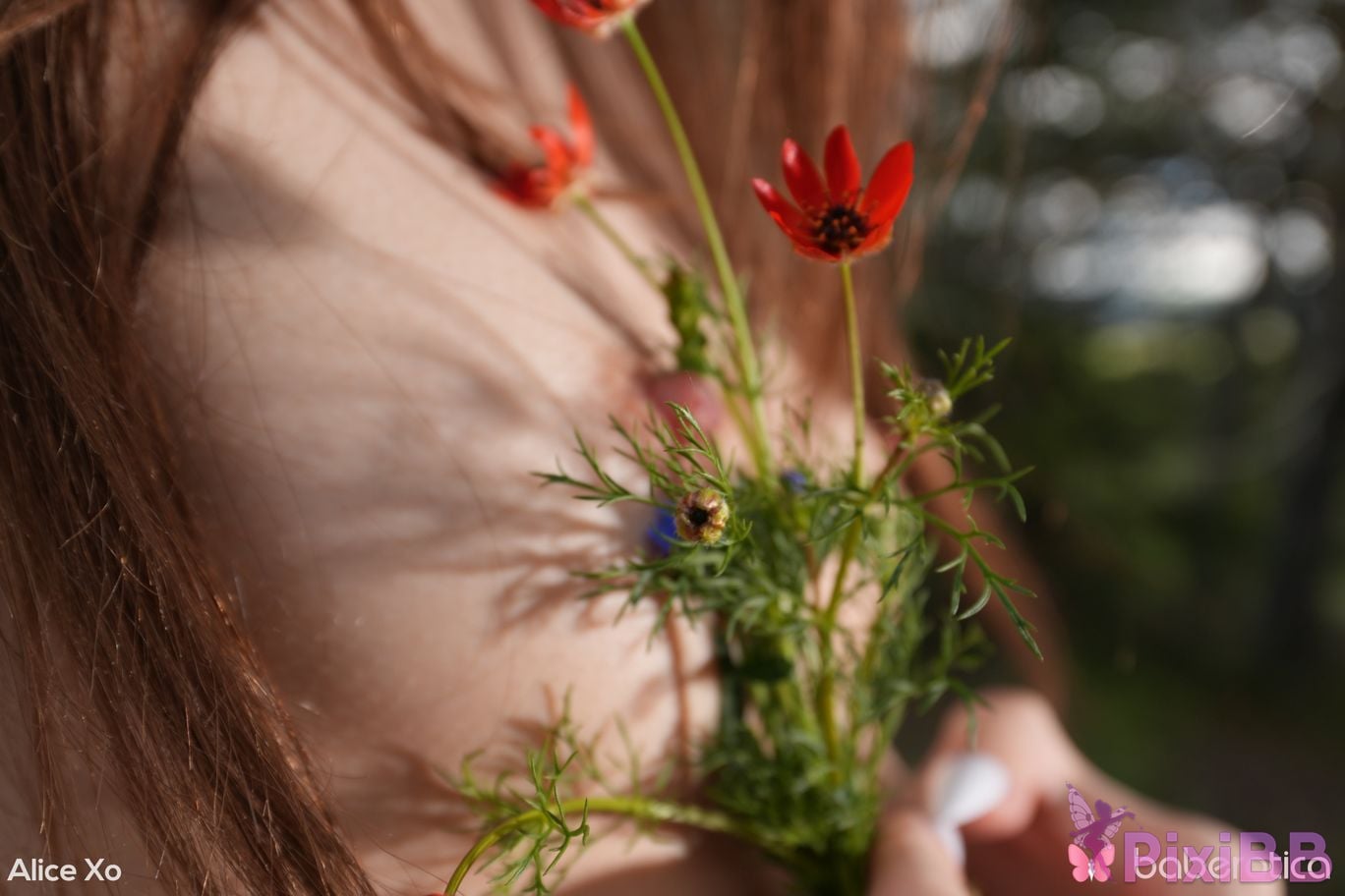alice xo baberotica 20260708 00026 PixiBB.COM