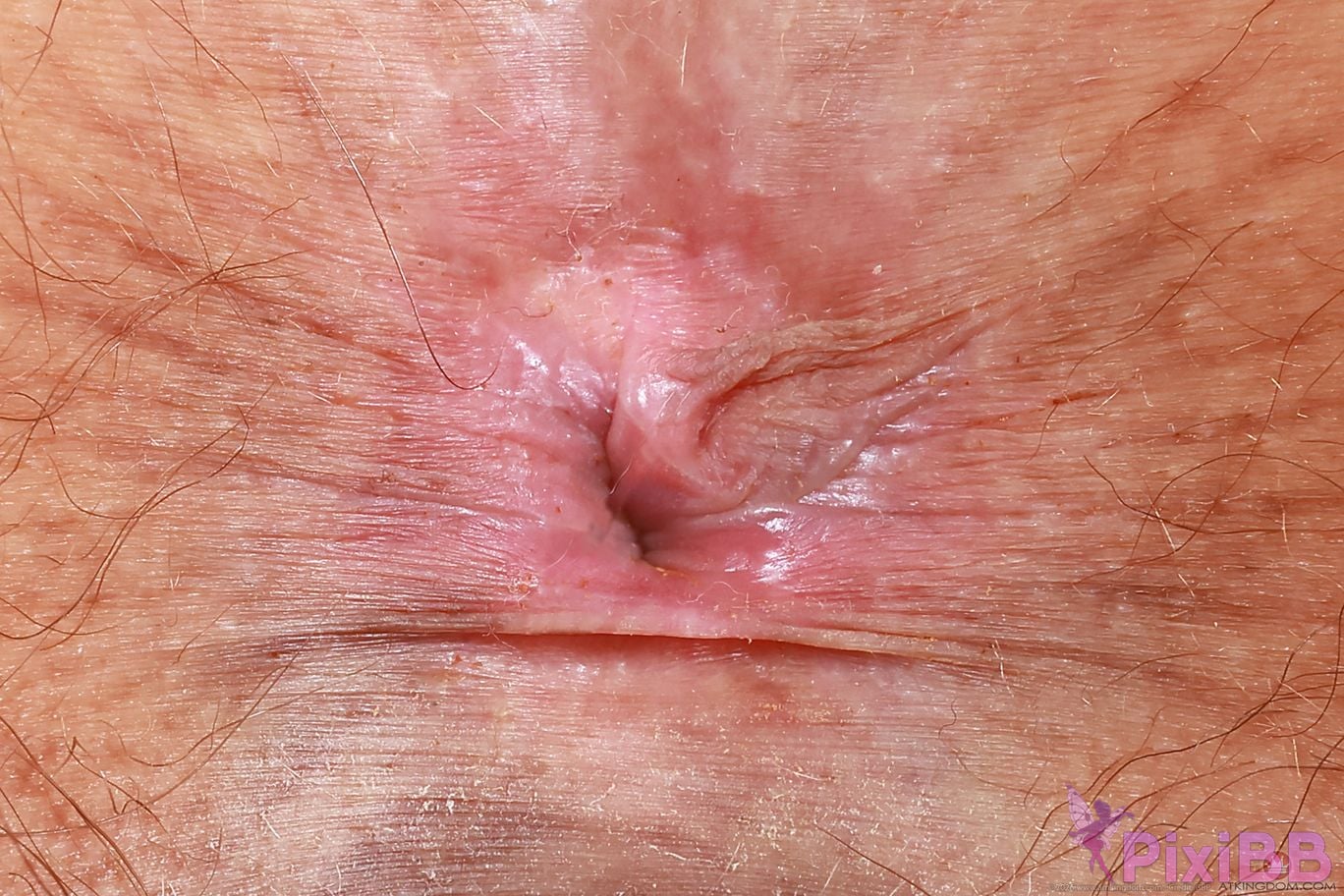 atkhairy cleo moon hairy fun set 419473 149 PixiBB.COM