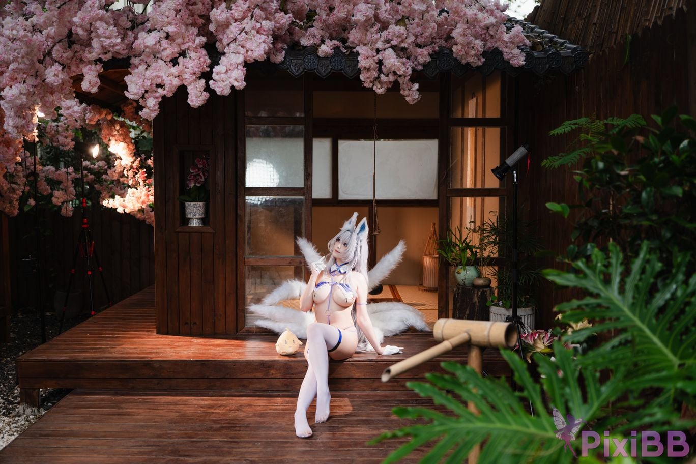 Cosplayer honey cat fur azur lane Shinano superior PixiBB.COM 050