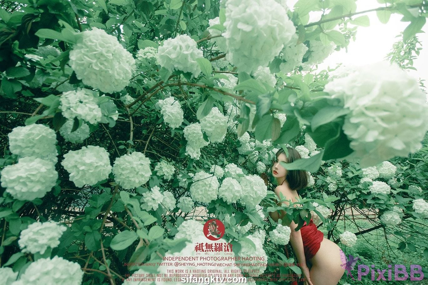 Photographer Uncle Dou drinker Wang Dong Magic City 02 PixiBB.COM 790