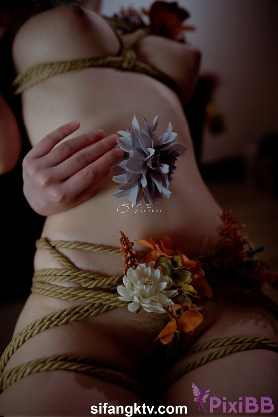 OtherXXX Photographer Lin Xinyue linyipu Gong Yaofei flower sound Ash wait 25 Beautiful private shoot of a top goddess 01 PixiBB.COM 170
