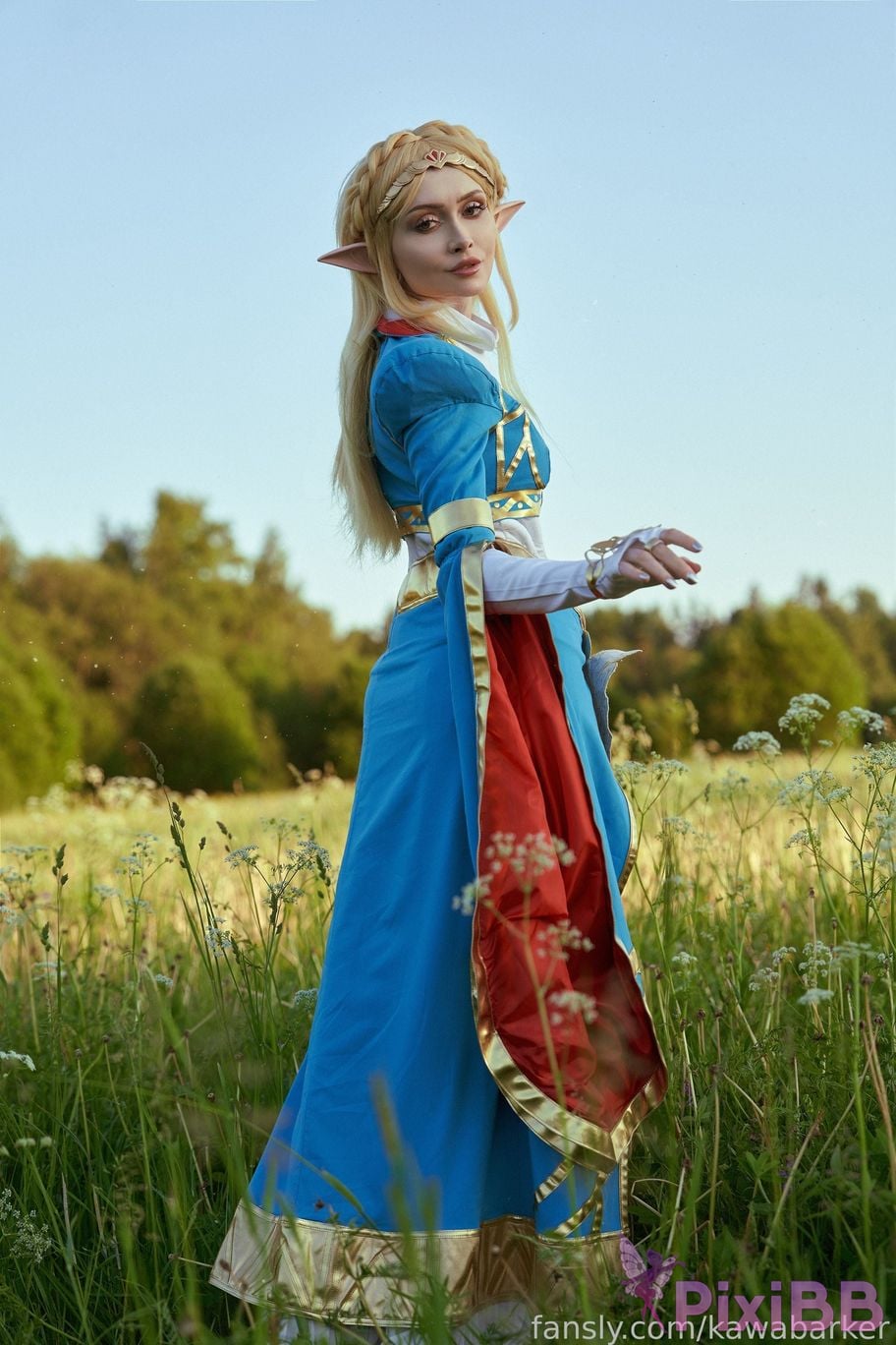 Zirael Rem Zelda PixiBB.COM 14