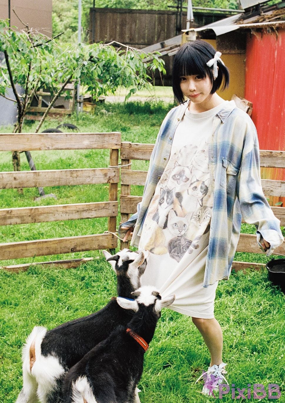 Japanese Idol Ano that photo collection Where is PixiBB.COM 064