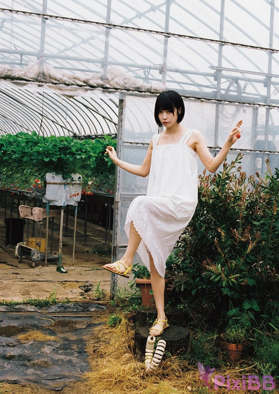 Japanese Idol Ano that photo collection Where is PixiBB.COM 113