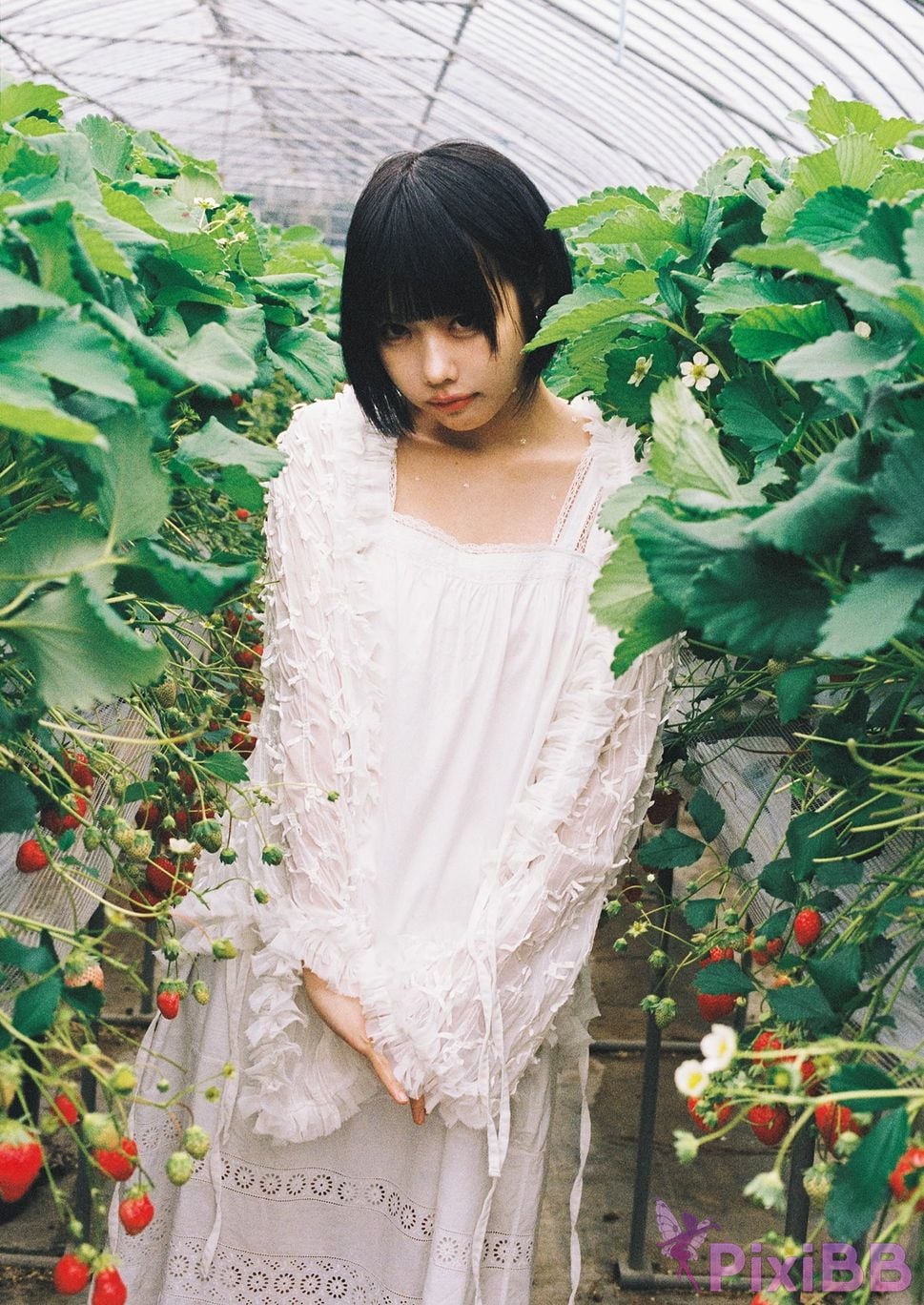 Japanese Idol Ano that photo collection Where is PixiBB.COM 114