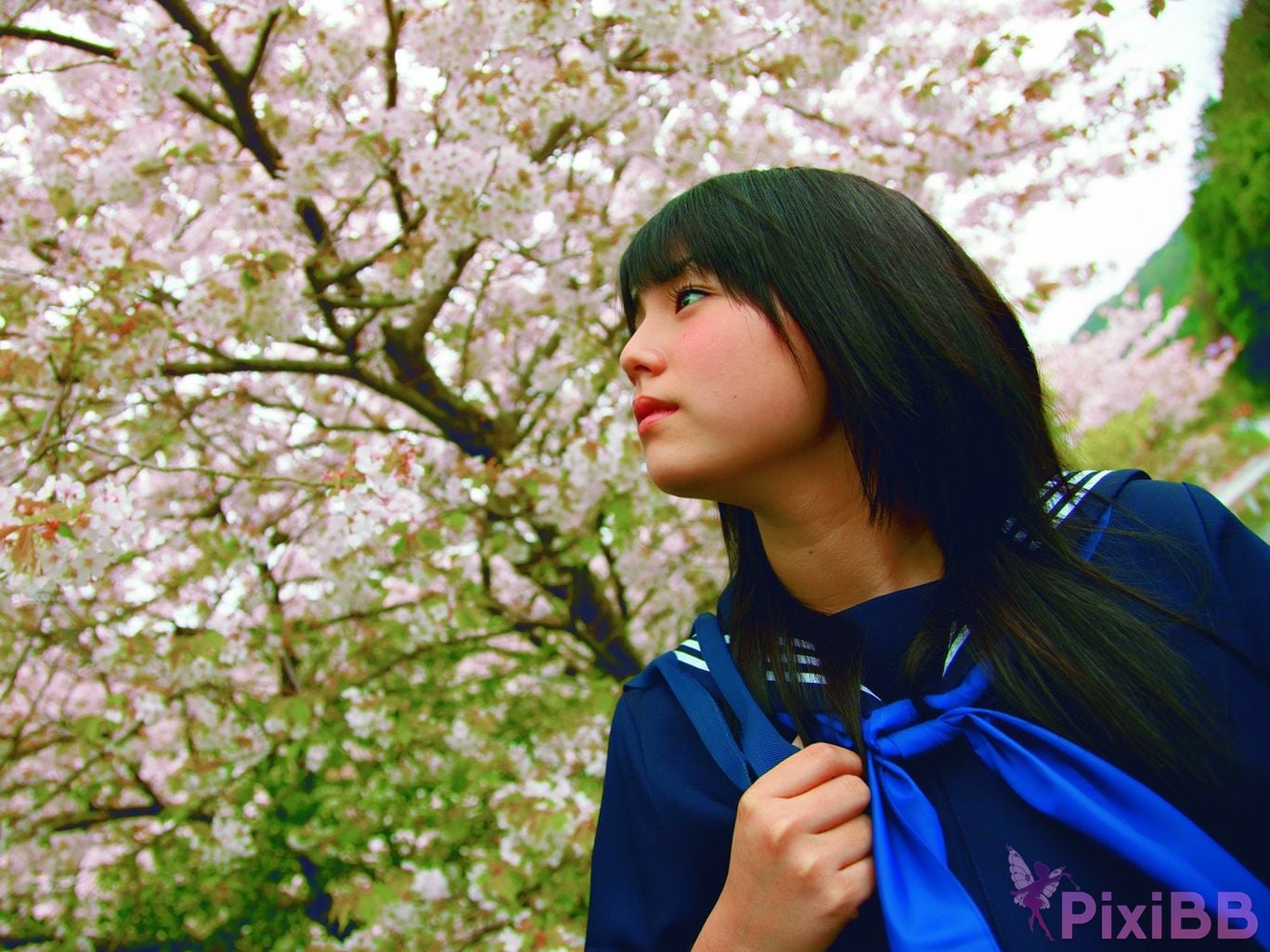 Japanese Idol Ai Shinozaki photo collection Sakura Sakutoki PixiBB.COM 083
