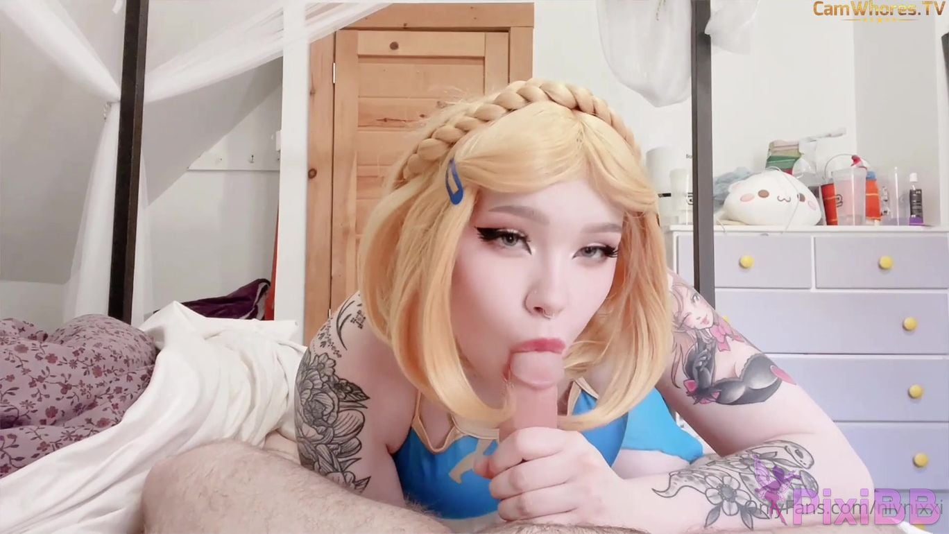 NivNixxi Zelda Video PixiBB.COM 1 007