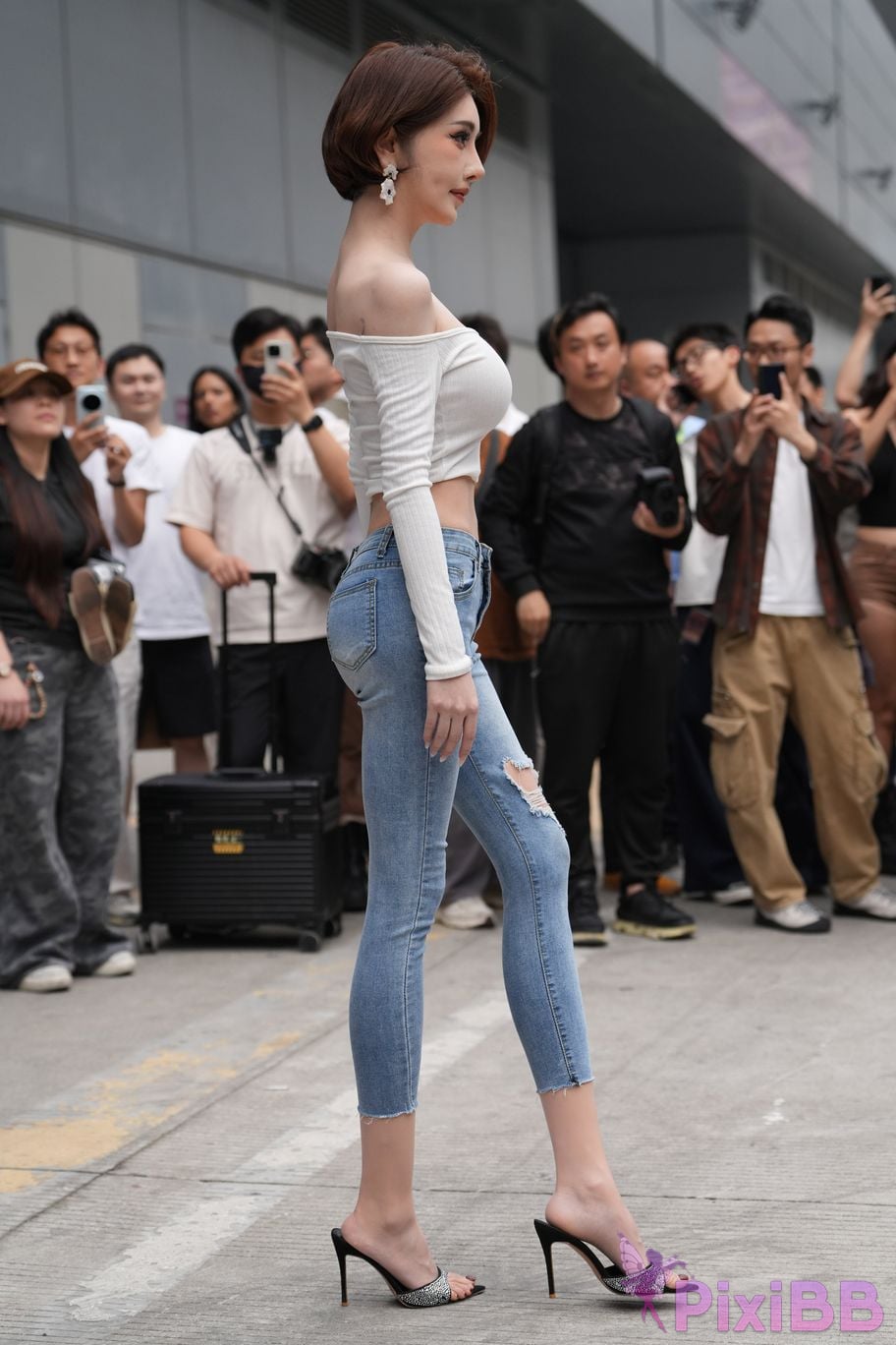 Featured Street Photography Works No.5744 Silk little cat Dabao in jeans PixiBB.COM 011
