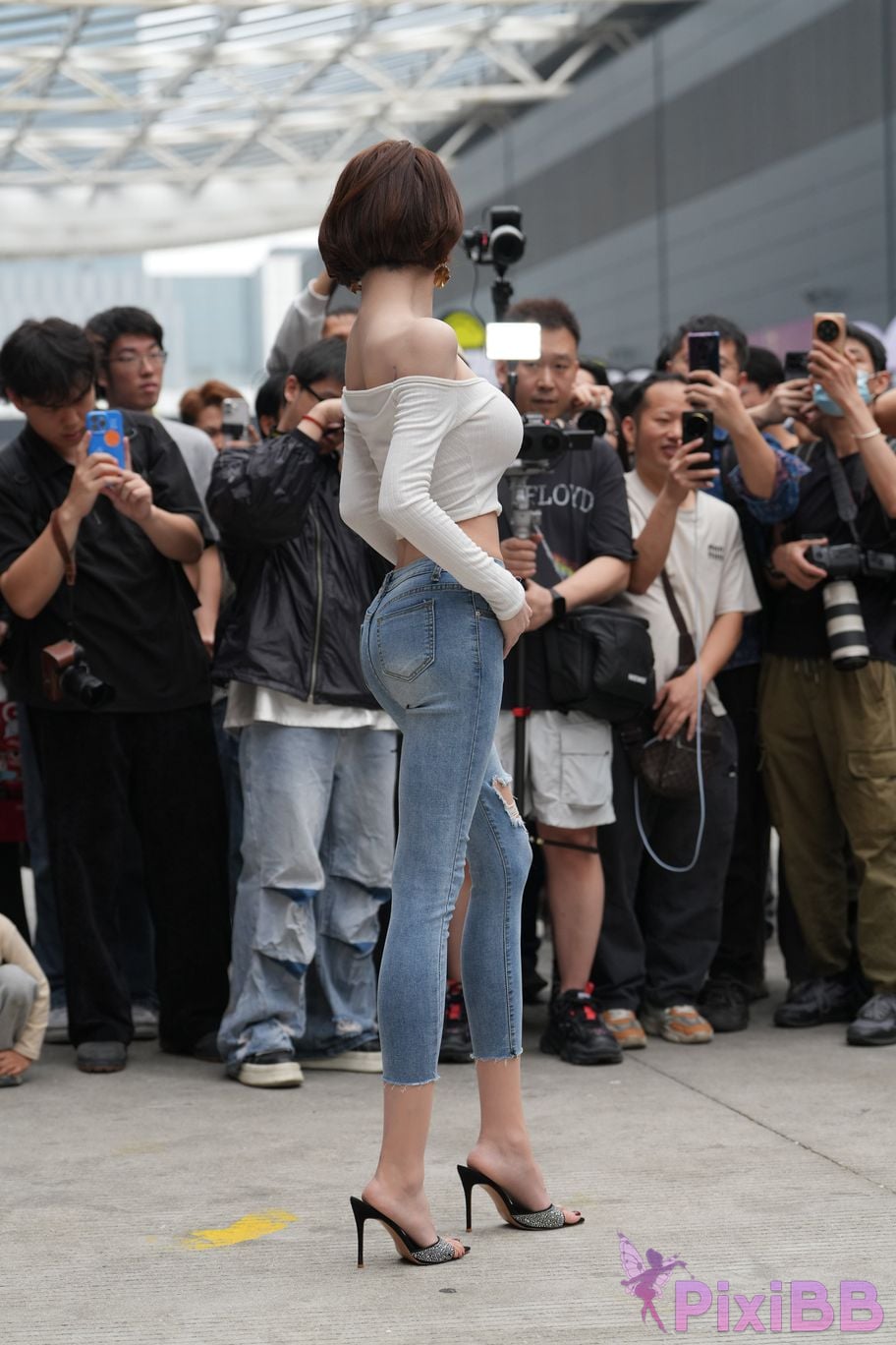 Featured Street Photography Works No.5744 Silk little cat Dabao in jeans PixiBB.COM 109