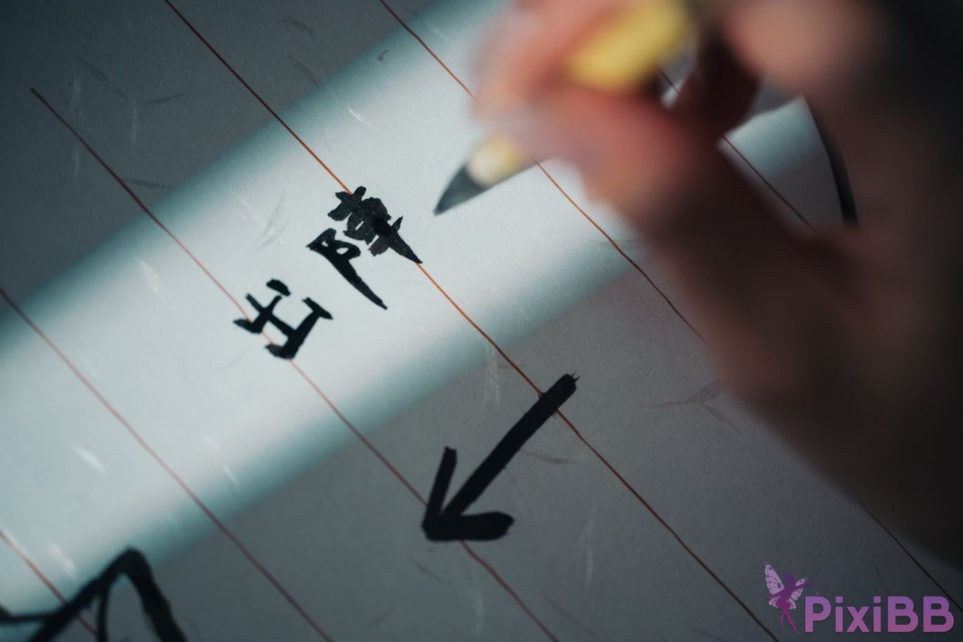 Coser kenken DL PixiBB.COM 024